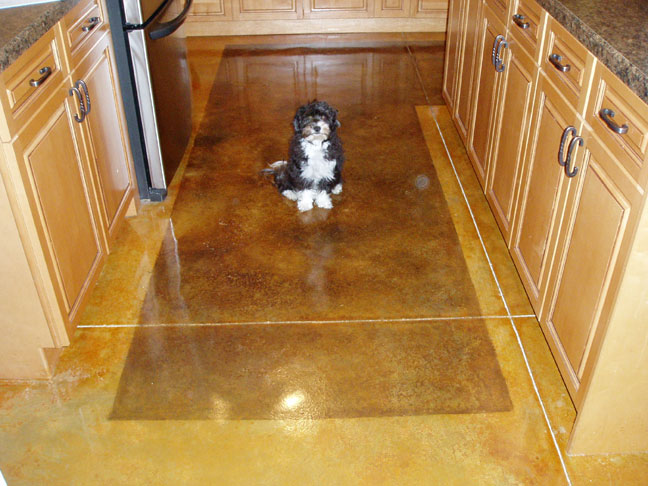 acid stained floors