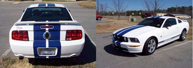 mustang precut stripes